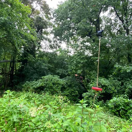 Bos Vakantiehuis Putten