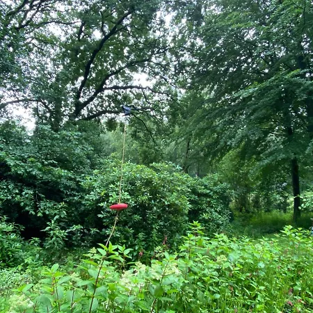 Bos Putten