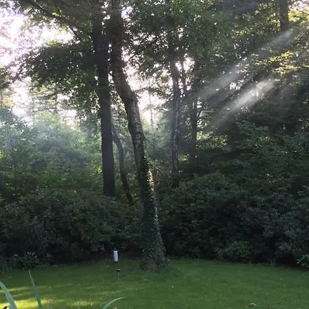 Bos * Putten