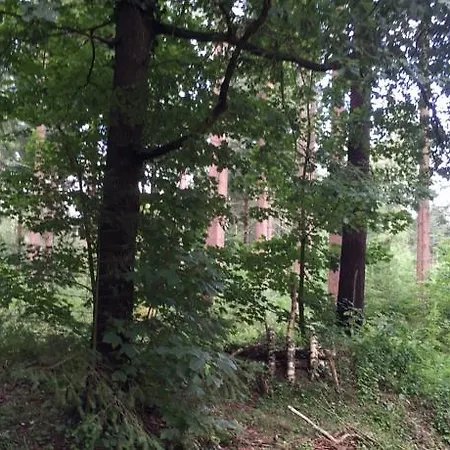 Vakantiehuis Bos