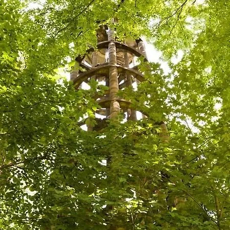 Bos Vakantiehuis Putten