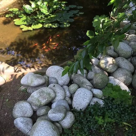 Casa de Férias Bos Putten