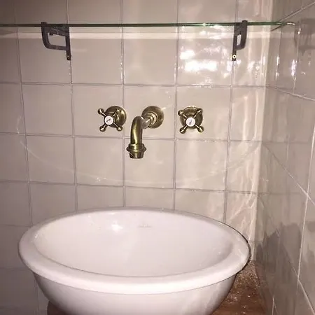 Bos *