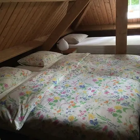 Bos Vakantiehuis *