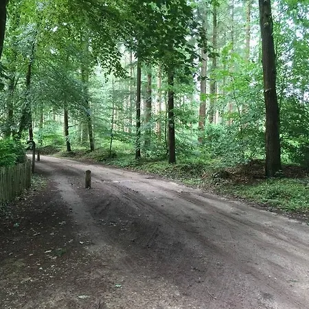 Vakantiehuis Bos Putten