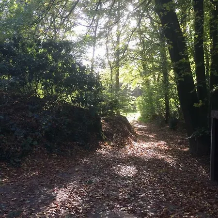 Bos Vakantiehuis