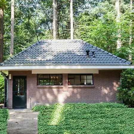 Bos Vakantiehuis Putten