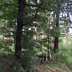 Tatil Evi Bos
